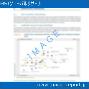 市場と産業調査レポートのイメージ